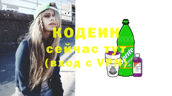 индика Навашино