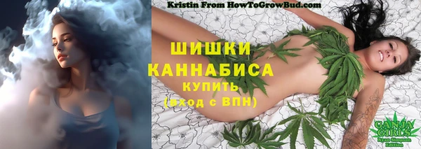 МДПВ Надым