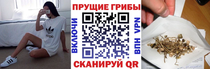Галлюциногенные грибы мухоморы  Люберцы 