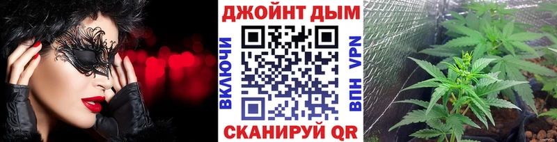 дарк нет какой сайт  Люберцы  Конопля ГИДРОПОН 